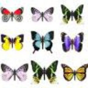 Meet your Posher, Whitney